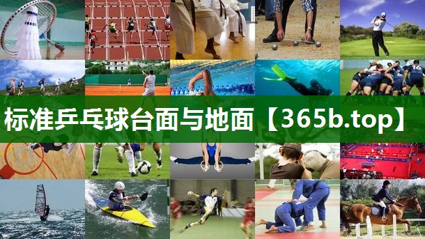 標(biāo)準(zhǔn)乒乓球臺(tái)面與地面 標(biāo)準(zhǔn)乒乓球臺(tái)面與地面
